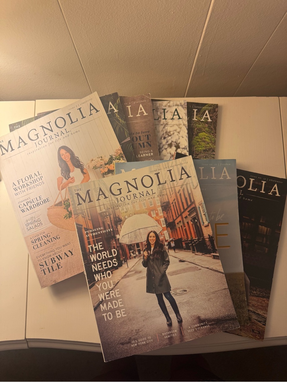 Magnolia Journal Bundle
